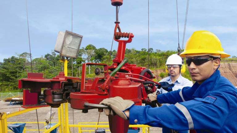 quienes somos, mayaindustry